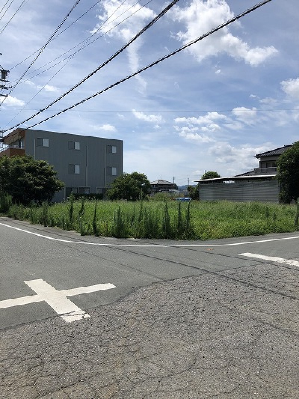 整地工事前